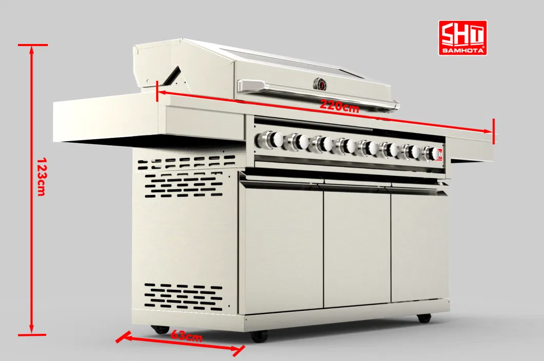 China Factory Price Professional Vertical Grill Gas Barbeque Stainless Steel Gas