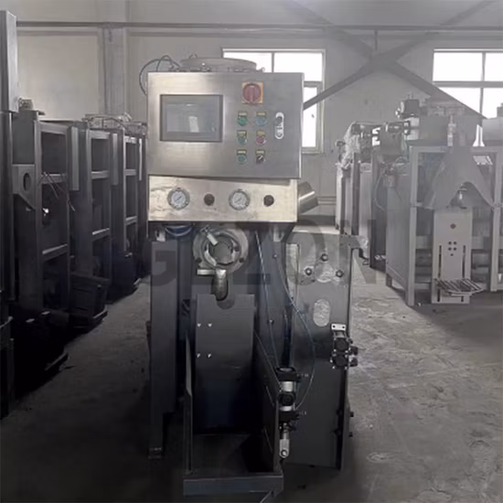 Hot Sale Chips Snacks Vertical Peanut Nut Packing Rice Popcorn Potato Chips Sachet Packaging Machine Price